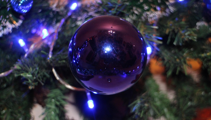 一月的天空:流星雨、行星和彗星 一月的天空:流星雨、行星和彗星