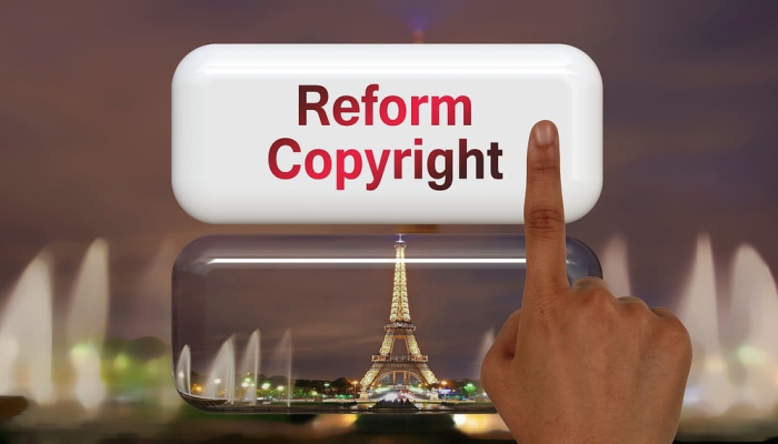 律师：分裂的法律改革“损害”了以色列的民主