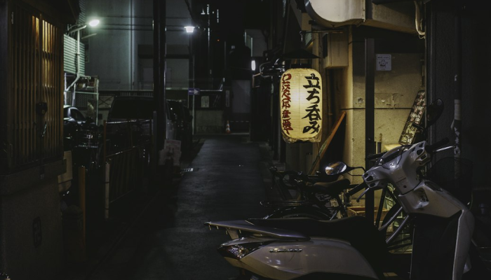 加拿大两名男子因宣扬极右翼恐怖主义被捕