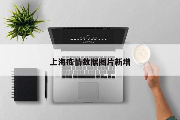 上海疫情数据图片新增